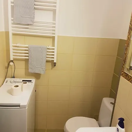 Апартаменти Central Attic *